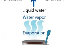 Liquid water evaporation