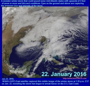 Global ocean climate from 22nd of January 2016