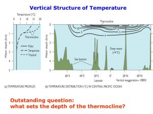 Vertical Structure of Temperature