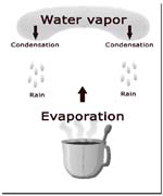The process of evaporation