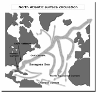 North Atlantic surface circulation